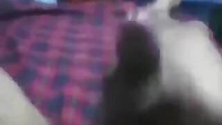 Entra a mi canal de telegram