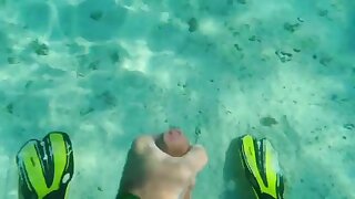 Wonder if the fish liked the taste