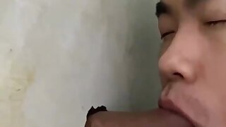 toilet cum
