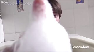 jp@22