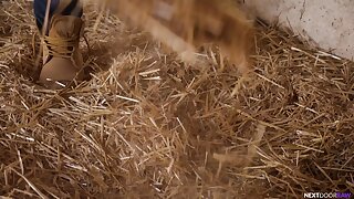 Hay Bros (Carter Woods, Julian Brady)