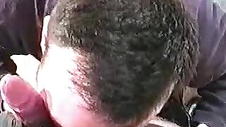 Bear Skin